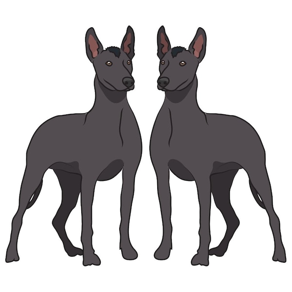Xoloitzcuintli Dog Decal, Dog Lover Decor Vinyl Sticker